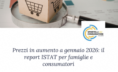 Report ISTAT per famiglie e consumatori